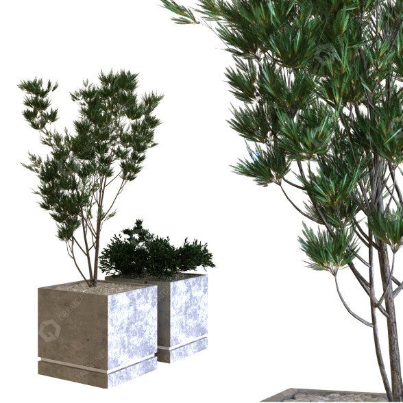 Árbol y arbusto Conjunto 09 Modelo 3D