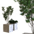 Árbol y arbusto Conjunto 09 - unisjamavari