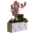 Árbol y arbustos Plantas en caja conjunto 10 - unisjamavari