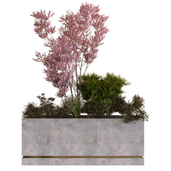 Árbol y arbustos  Plantas en caja conjunto 10 Modelo 3D