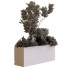 Árbol y arbustos Plantas en caja conjunto 10 - unisjamavari