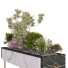 Maceta Plantas en caja conjunto 15 - unisjamavari
