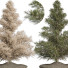 Drzewa Pine Vol 01 - uniquevry