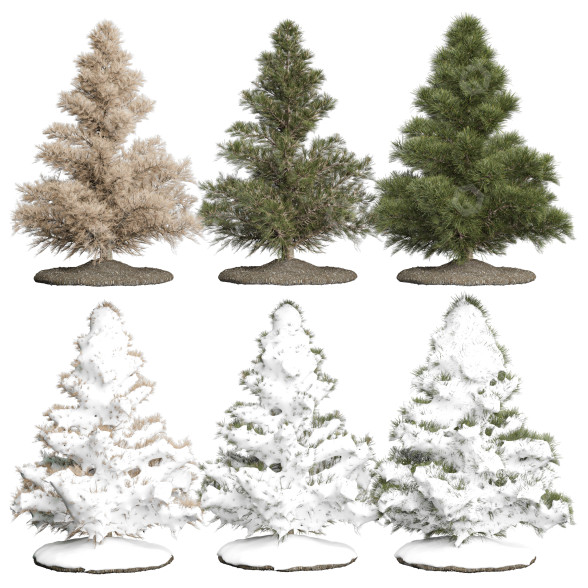 Drzewa Pine Vol 01 model 3D