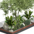 Arbres et buissons Collection 159 - uniquevry