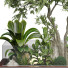 Arbres et buissons Collection 159 - uniquevry