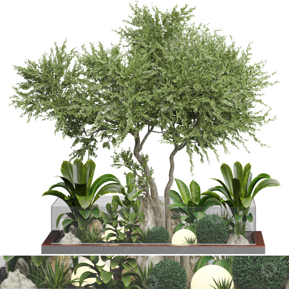 Arbres et buissons Collection 159 modèle 3D