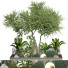 Arbres et buissons Collection 159 - uniquevry