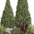 Plantes et décorations Ensemble 161 - uniquevry