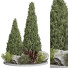 Plantes et décorations Ensemble 161 - uniquevry