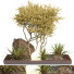 Plantes et décorations Ensemble 168 - uniquevry