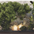 Plantes et décorations Ensemble de Collection 23 - mio