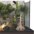 Plantes et décorations Ensemble de Collection 23 - mio