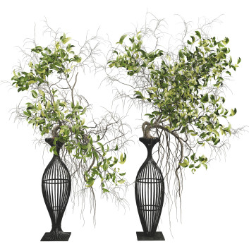 Вази та рослини Bonsai Collection Set 24