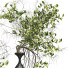 Вази та рослини Bonsai Collection Set 24 - mio