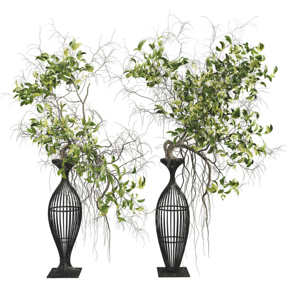 Вази та рослини Bonsai Collection Set 24 3D модель