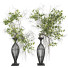 Вази та рослини Bonsai Collection Set 24 - mio