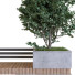 Рослини та лава Tree Set 24 - unisjamavari