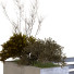 Рослини та лава Tree Set 24 - unisjamavari