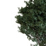 Рослини та лава Tree Set 025 - unisjamavari
