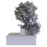 Рослини та лава Tree Set 025 - unisjamavari