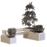 Рослини та лава Plants Tree Set 027 - unisjamavari