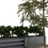 Рослини та лава Plants Tree Set 03 - unisjamavari