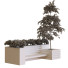 Рослини та лава Plants Tree Set 03 - unisjamavari