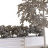 Рослини та лава Plants Tree Set 03 - unisjamavari