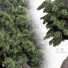 Blumentopf Bonsai 162 - uniquevry