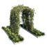 Arcs et buissons de jardin Plantes en extérieur 01 - RAHMAN TO
