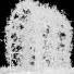 Arcs et buissons de jardin Plantes en extérieur 01 - RAHMAN TO