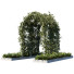 Arcs et buissons de jardin Plantes en extérieur 01 - RAHMAN TO