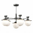 Chandelier Genova SLE220202 05 by Evoluce - MAxPro3D