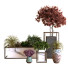 Macetas Árbol de plantas en caja conjunto 031 - unisjamavari