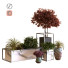 Macetas Árbol de plantas en caja conjunto 031 - unisjamavari