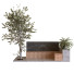 Рослини та лава Tree Set 020 - unisjamavari
