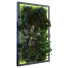 Pared verde Conjunto 054 - unisjamavari