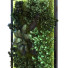 Pared verde Conjunto 054 - unisjamavari