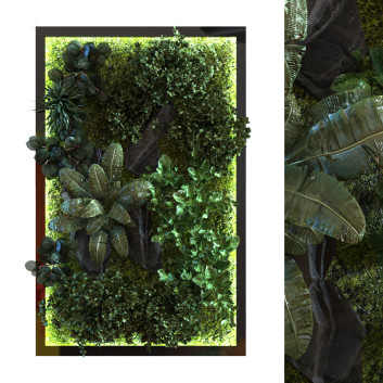 Pared verde Conjunto 054