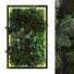 Pared verde Conjunto 054 - unisjamavari