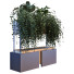 Blumentopf Pflanze in Kasten Set 041 - unisjamavari
