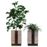 Doniczki Plants in Box Set 040 - unisjamavari