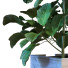 Doniczki Plants in Box Set 040 - unisjamavari