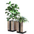 Doniczki Plants in Box Set 040 - unisjamavari