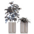 Doniczki Plants in Box Set 040 - unisjamavari