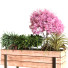 Blumentopf Pflanzenset 028 - unisjamavari