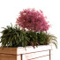 Blumentopf Pflanzenset 028 - unisjamavari