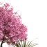 Blumentopf Pflanzenset 028 - unisjamavari