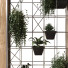 Перегородка Plants in Box Set 043 - unisjamavari